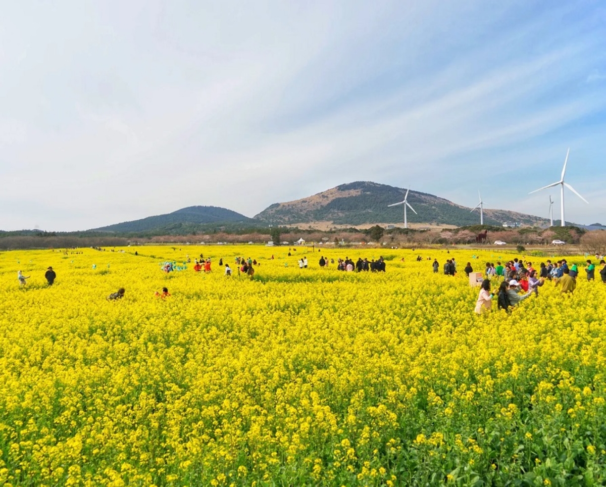 제주숙소 특가입장