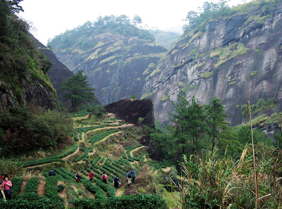 [홈쇼핑 에디션][NO팁/NO쇼핑/구곡계뗏목+발마사지포함]무이산/삼청산 4일 #중국10대명산 #천유봉 #대홍포풍경구 #하매민속촌