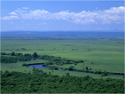 [대한항공][유류할증료 포함] 홋카이도 5일 # 쿠시로# 마슈호수 운무테라스  #후라노# 비에이 #라벤더 #팜토미타 #꽃밭풍경 #여름여행 #푸른하늘 #보라빛풍경 