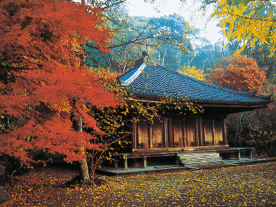 사진:[다색 에어텔] 규슈 소도시 4일 #자유여행 #다색(多色)에어텔 #기타큐슈/시모노세키 #N회차 여행러 추천 #전 일정 조식 포함 #렌터카 불포함