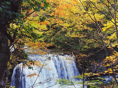 사진:[스마트초이스]아오모리 4일 #낭만가득 #오이라세계류 #스토브열차 #트랙터라이드 #예술산책 #아키타 #가이세키석식 #야식소바제공