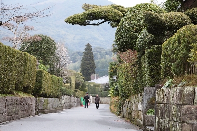사진:남규슈/가고시마 4일 #우리만의초밥타임 #회전초밥무제한 #기리시마온천호텔 #이부스키검은모래찜질 #사쿠라지마 #훼리탑승 #번화가텐몬칸 #이케다호수 