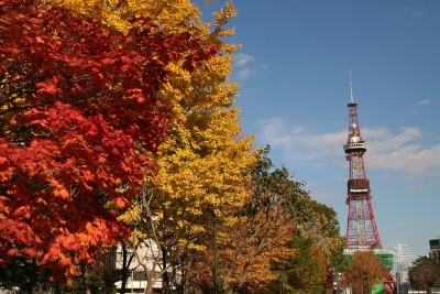 삿포로오오도리공원_가을