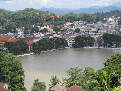 사진:스리랑카 8일 #스리랑카 일주 #전 일정 5성 #불치사 #담불라 #끝 없이 펼쳐지는 차 밭 #코끼리 보육원