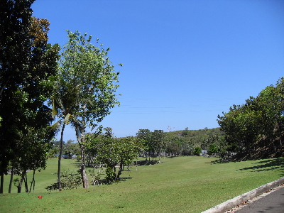 <em>골프</em>