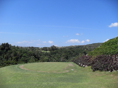 <em>골프</em>