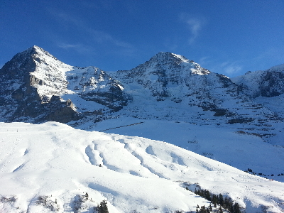 서유럽 4국 12일 #5성급 호텔 2박 #시내호텔4박  #TGV 1등석 #융프라우  #4대 선택관광 포함 #콜로세움내부입장 #10대 특식포함