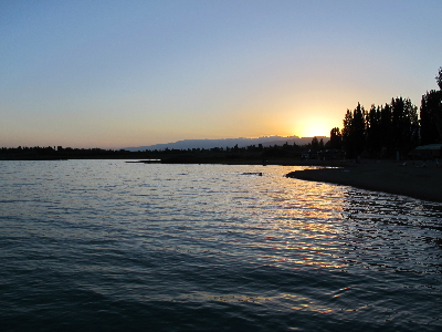 이식쿨11