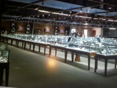 롱비치 진주 농장1