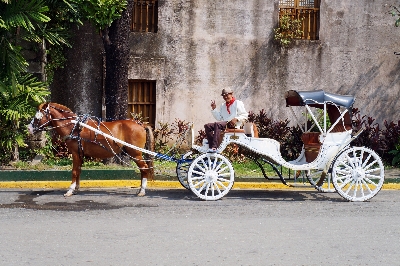 사진:마닐라 5일 #NO쇼핑 #ALL NEW 하이라이트 #선셋맛집 #럭셔리분수쇼