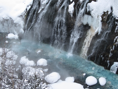 [홈쇼핑에디션] 홋카이도 4일 #설경만끽 #후라노비에이 #아사히야마 동물원 #온천2박 #흰수염폭포 #대게무제한