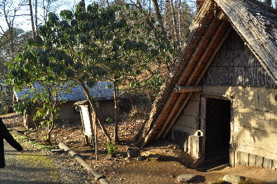 아키타/센다이 4일 #소도시힐링여행 #뉴토온천 #내륙종관열차 #주손지 #주조공장 #전일정온천 #자연절경