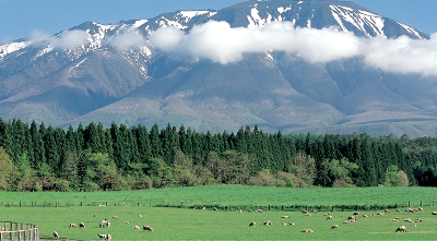 아키타/센다이 4일 #소도시힐링여행 #벚꽃기행 #내륙종관열차 #주손지 #주조공장 #전일정온천 #자연절경