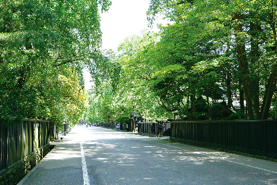 아키타/센다이 4일 #소도시힐링여행 #뉴토온천 #내륙종관열차 #주손지 #주조공장 #전일정온천 #자연절경