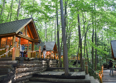 사진:[세일위크] 홋카이도 4일 #설경 #요정마을후라노 #타쿠신칸 #자작나무길 #아오이이케 #시라히게노타키 #낭만오타루산책 #신비의물,몰온천♨ #소운쿄온천 