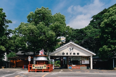 규슈 3일 #벳부천연노천온천 #월드체인특급 힐튼숙박 #호텔뷔페즐기기 #규슈핵심명소일정 #야나가와 뱃놀이 #다자이후텐만구 #미식여행