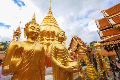 치앙마이/치앙라이 5일#가성비추천 #3色사원 #4성급호텔#핵심일정#코끼리 먹이주기 체험