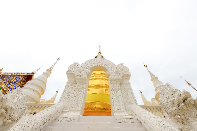 치앙마이/치앙라이 5일#가성비추천 #3色사원 #4성급호텔#핵심일정#코끼리 먹이주기 체험