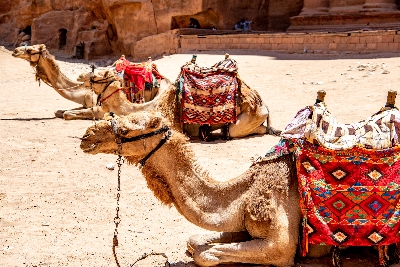 두바이+이집트일주/요르단 11일 #노쇼핑 #사해 리조트 숙박 #디럭스 나일크루즈 탑승 # 항공2회 탑승 #페트라 관광 #와디럼 럭셔리캠프  