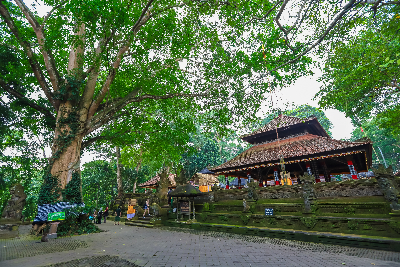 [청주출발] 발리 5일 #모벤픽 #우붓+남부투어 #1일자유 #발리스윙 #멜라스티 비치 #마사지 2시간