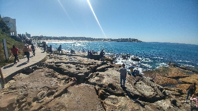 사진:[실시간] 재미가득 시드니/골드코스트 7일 #트위드강게잡이?? #블루마운틴+시닉3종 #포트스티븐스 #천문대공원 #시드니대학교 #트로피칼프룻월드 #서퍼스파라다이스 #Q1