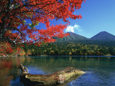 시코츠호수_모미지