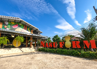 [가정의달특가] 방콕/파타야 5일 #가볍게플러스 #전일정 5성급 #콜로세움쇼 #파타야야시장 #타이전통마사지 #카오키여우 오픈 동물원