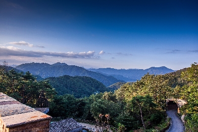 FOREST RESOM_외관_숙박소개