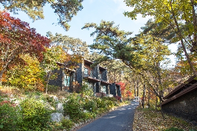 FOREST RESOM_외관_숙박소개