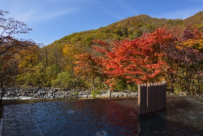 사진:아오모리 4일 #애플랜드3박 #온천호텔 #감성을찾아서 #스토브열차 #다자이오사무 #네부타 #미술관탐방