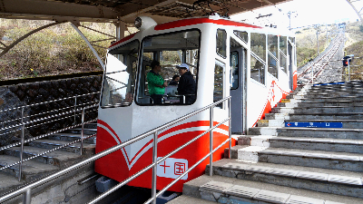 도쿄/하코네/야마나시 4일 #후지산을 더 가까이 #후지산 만끽 #오합목 #파노라마 로프웨이 #해적선 #하코네 #신주쿠 #간식&간식비제공 #온천호텔포함