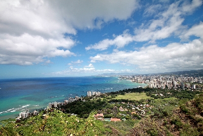 하와이 6일 #하얏트센트릭 #시티뷰 #2일관광 #쿠알로아랜치무비사이트 #와이켈레아울렛 #새우트럭