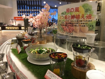 미도리노카제 뷔페식