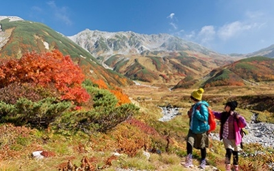 알펜루트