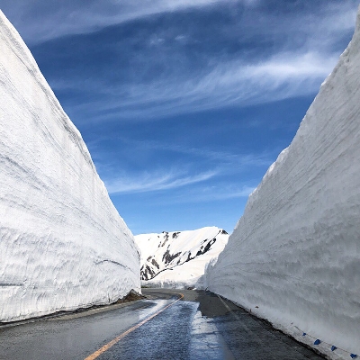 사진:[도야마전세기]도야마/알펜루트 4일 #도야마직항 #알펜루트완전정복 #MD추천 #토롯코열차 #세계문화유산 #시라카와고 #도야마 가라스 뮤지엄 #온천호텔 