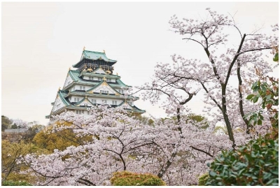 사진:오사카/고베/나라 3일 #1일자유포함 #낭만고베즐기기 #하버랜드 #사슴의도시나라 #도다이지 #오사카필수인증샷코스