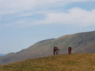 사진:[아씨고원] 카자흐스탄 5일 #ALL포함 #5성급호텔 #카인디&콜사이호수 #차른캐니언 #특식포함