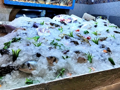 홍해산 해산물