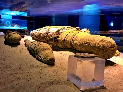 콤옴보 신전