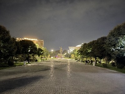 아무르 티무르 광장