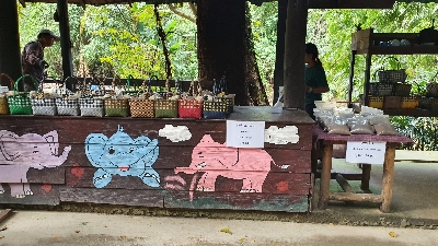 매사 (MAESA)코끼리 캠프