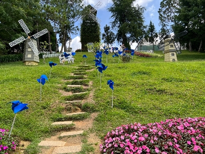 [홈쇼핑 에디션] 나트랑/달랏 5일 #전일정5성급 #NO옵션 #호핑투어 #랑비엔고원SUV #죽림사원케이블카 #다딴라레일바이크 #나트랑야간시티투어 #달랏핵심관광