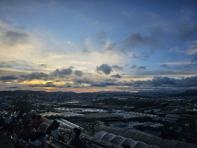 [홈쇼핑 에디션] 나트랑/달랏 5일 #전일정5성급 #NO옵션 #호핑투어 #랑비엔고원SUV #죽림사원케이블카 #다딴라레일바이크 #나트랑야간시티투어 #달랏핵심관광