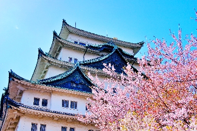 사진:나고야/알펜루트 4일#토롯코열차 #대한항공 #특급호텔 숙박 #시라카와고 #일본알프스의 감동 #베스트상품