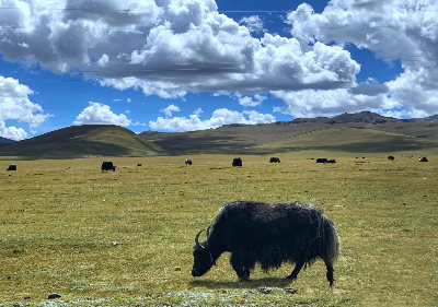 사진:[국내선 2회]티벳/에베레스트 전망대/서안 9일#완전일주 #관광지 중심 5성급호텔#티벳의 상징 포탈라궁#남쵸호수#얌드록쵸 #조캉사원#병마용갱#특식5회