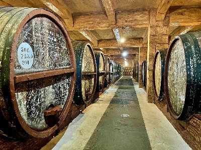 아르메니아 브랜디 테이스팅