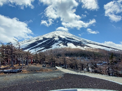 도쿄/야마나시 3일 #온천호텔숙박♨ #호텔업그레이드 #알찬일정 #후지산 절경 #화려한 도쿄 #명물간식&간식비제공 #도쿄숙박