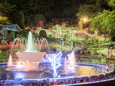 아키타/센다이 4일 #소도시힐링여행 #뉴토온천 #내륙종관열차 #주손지 #주조공장 #전일정온천 #자연절경