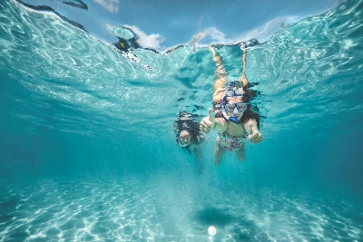 카니발 스플렌더호