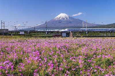 사진:[하나투어X여행작가 서규호와 함께하는] 색다른 기차 투어! 일본여행 8일#일본일주 #하코다테 #끝판왕 #열차투어 #이색여행 #전국투어